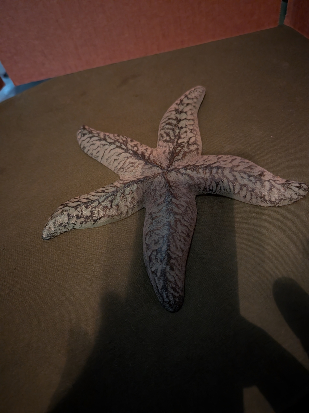 Cast Iron Starfish